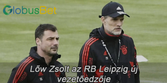 Lőw Zsolt az RB Leipzig új edzője
