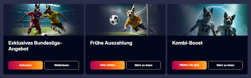 Puppybet Sportwetten Boni